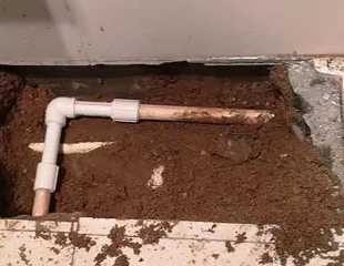 兴宁测漏水哪家好