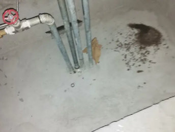 兴宁卫生间测漏水价格明细