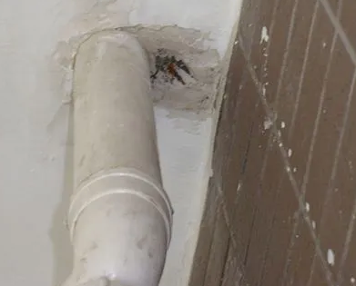 兴宁漏水检测哪家好